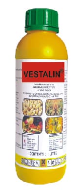 VESTALIN