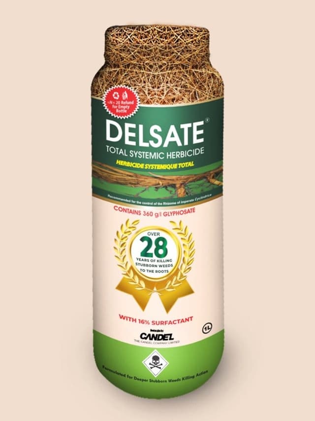 Delsate